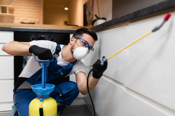 Best Termite Control Services  in Frostburg, MD