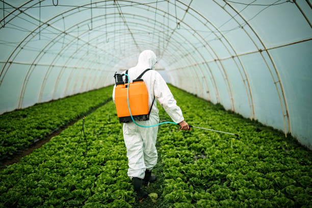 Best Pest Removal Services  in Frostburg, MD