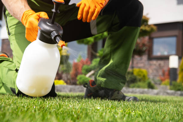 Best Pest Prevention Services  in Frostburg, MD