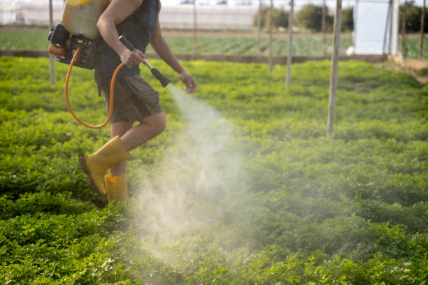 Reliable Frostburg, MD Pest Control Solutions